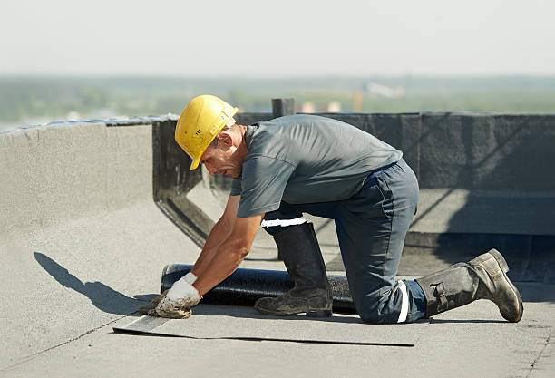 Best Geographic-Specific Insulation Services in Rossford, OH