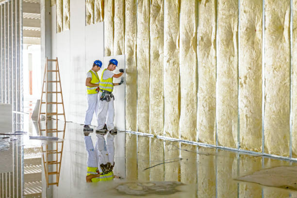 Best Cellulose Insulation in Rossford, OH
